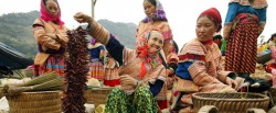 sapa-happy-ethnic-women